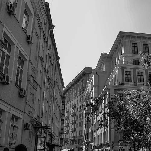 Photo #10626455