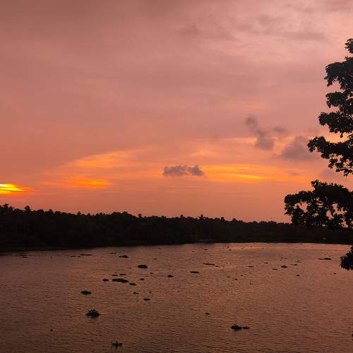 Photo #10626467
