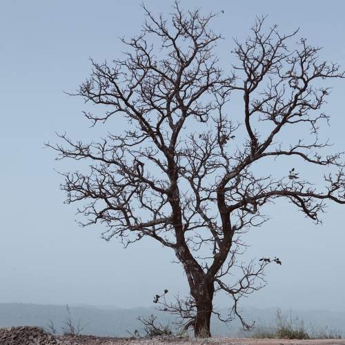 Photo #10626469