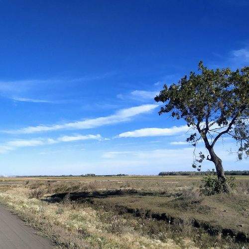 Photo #10626512