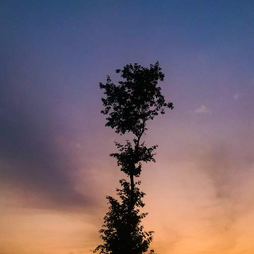 Photo #10626548