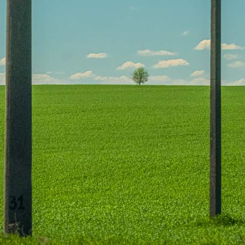 Photo #10626605