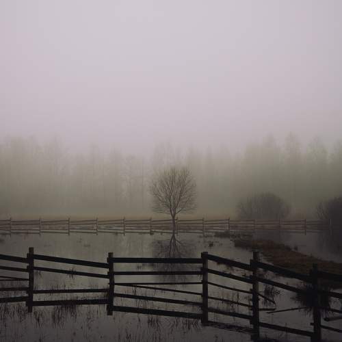 Photo #10626857