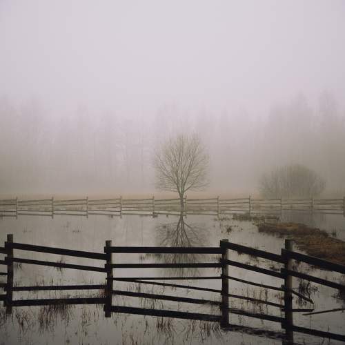 Photo #10626858