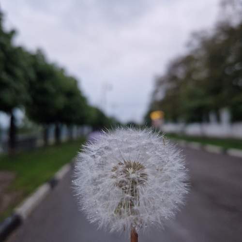 Photo #10626933