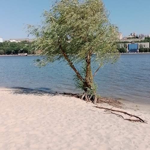 Песок, вода и ветер