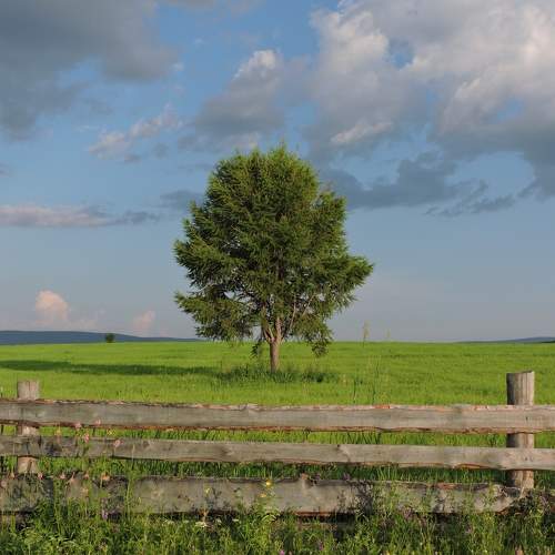 Photo #10627002