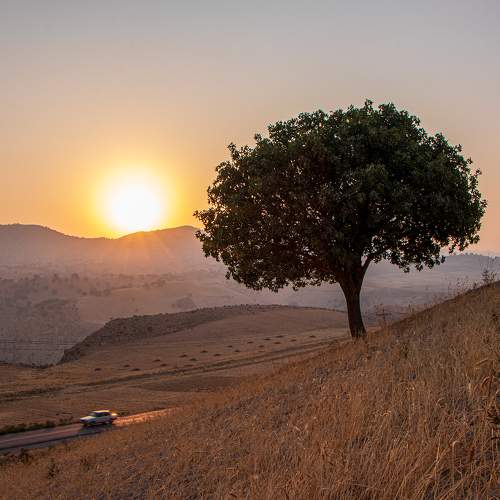 Photo #10627166