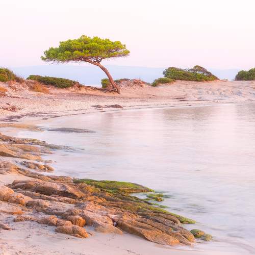 Photo #10627170