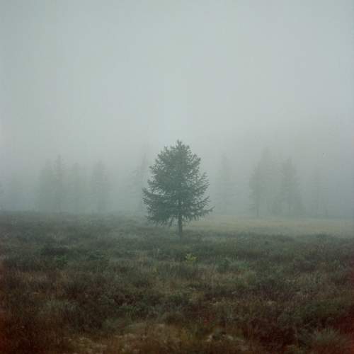 Photo #10627463