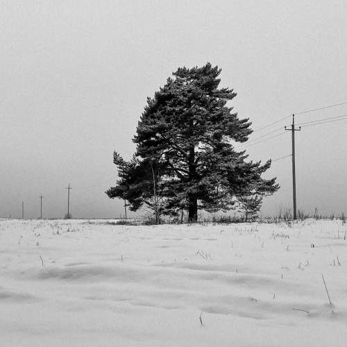 Photo #10627470