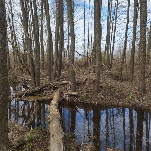 Photo #10627670