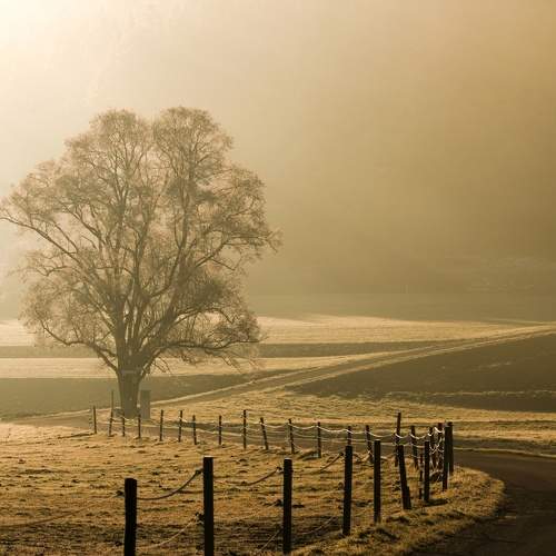 Photo #10628089