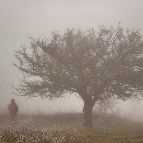 Photo #10628261