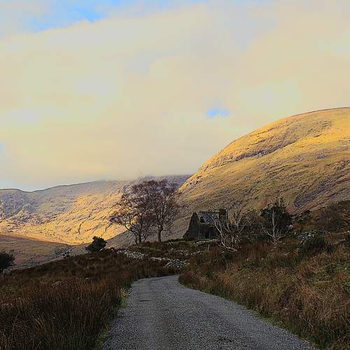 Photo #10628267
