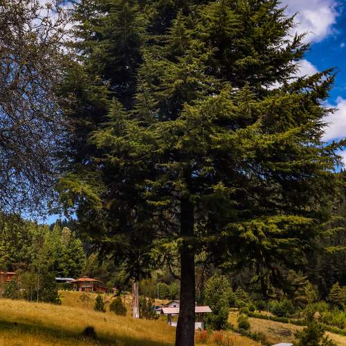 Photo #10628409