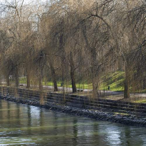 Photo #10628726