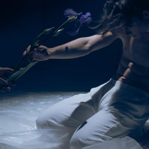 Photo #10628899