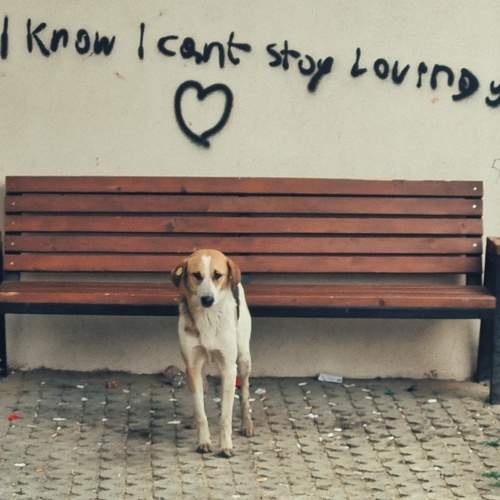 Photo #10628906
