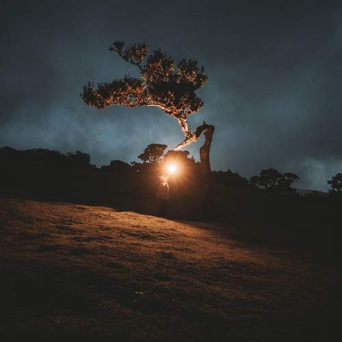 Photo #10628946