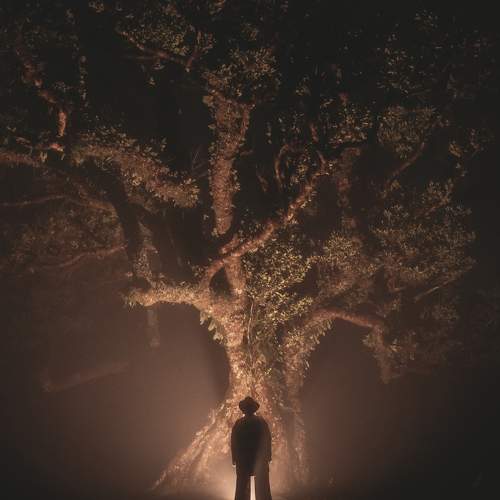 Photo #10628952