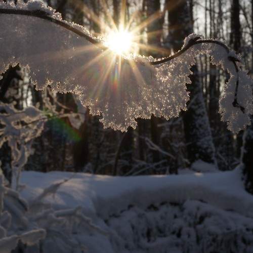 Photo #10629049