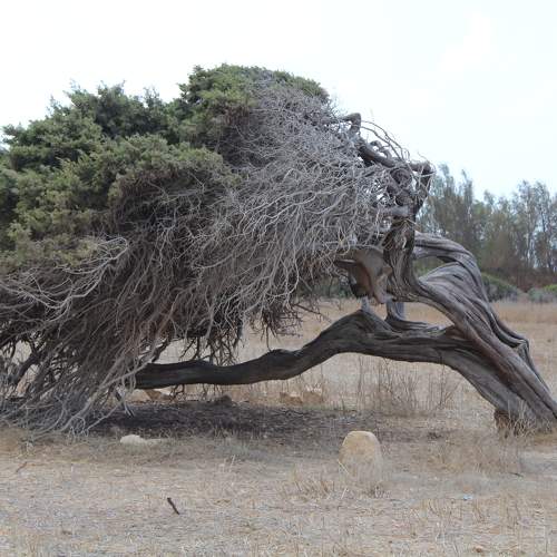 Photo #10629683