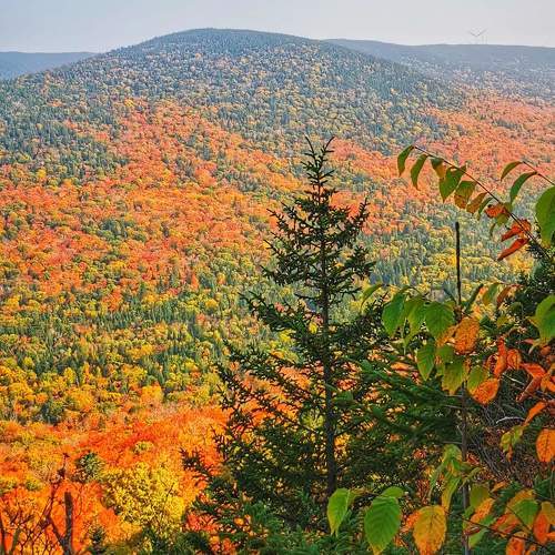 Quebec Indian autumn season