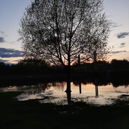 Photo #10629907