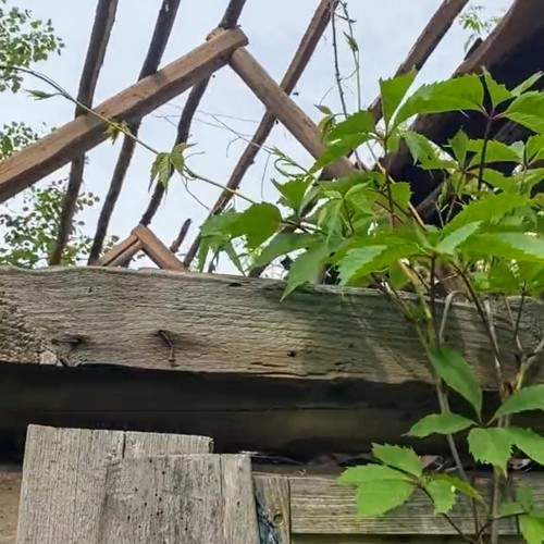 Photo #10630392