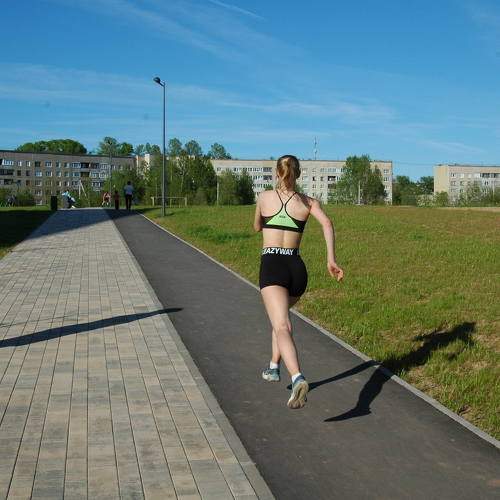 Photo #10630790