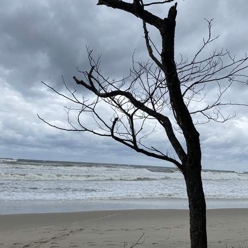 Photo #10630847