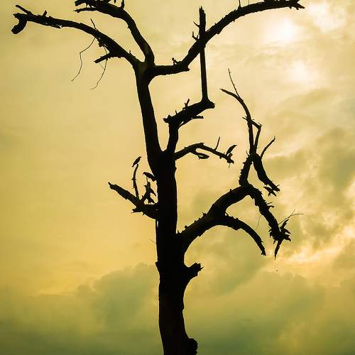Photo #10630856