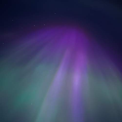 Photo #10630910