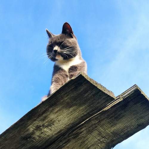 Photo #10630922