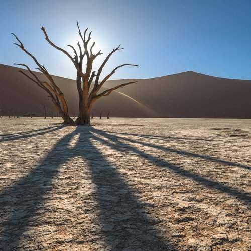 Фотография #10631037