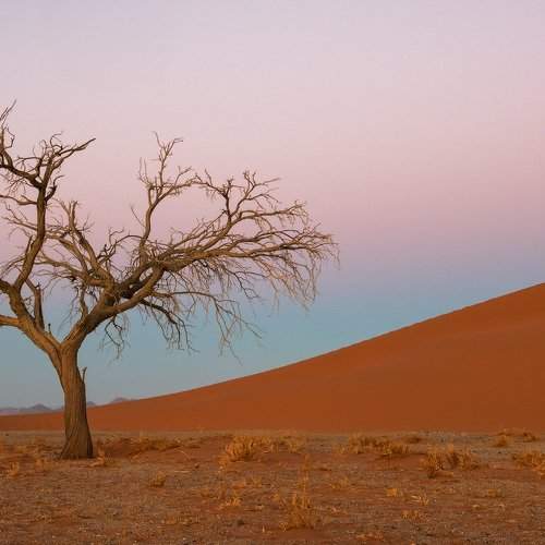 Фотография #10631042