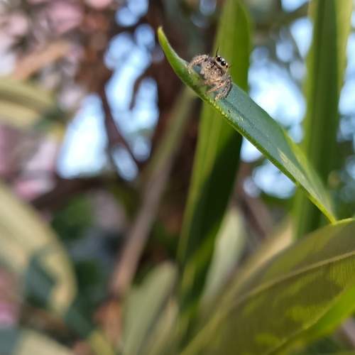 Photo #10631187