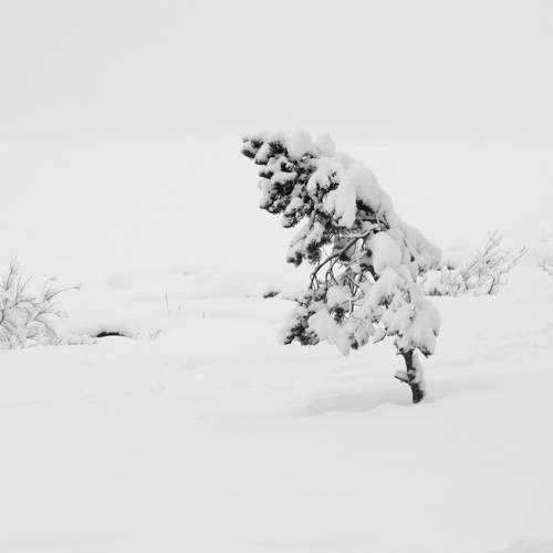 Photo #10631503