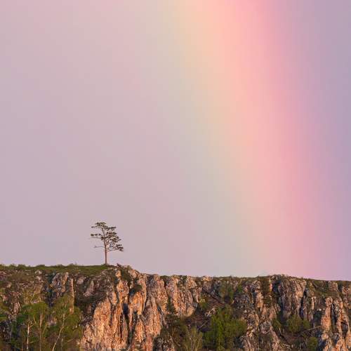 Photo #10631553