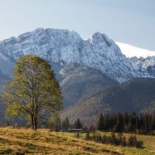 Photo #10631555