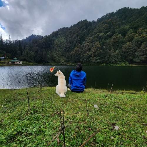 Photo #10631974
