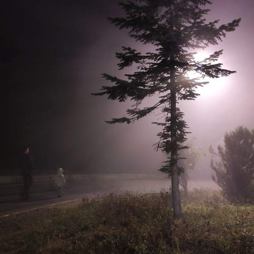 Photo #10631991