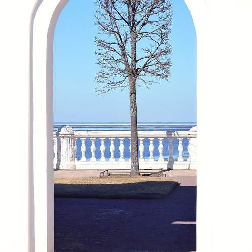 Photo #10632639