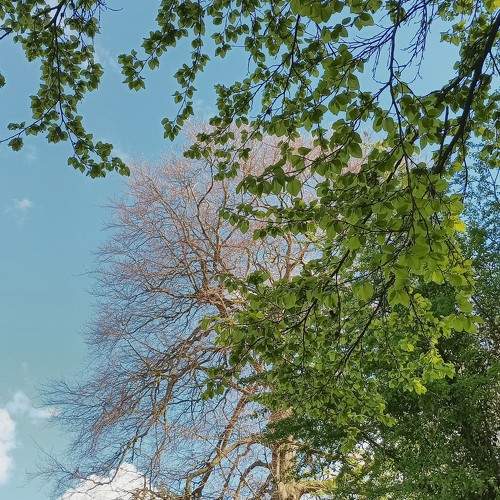 Photo #10632757
