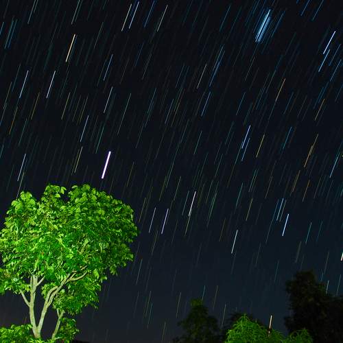 Photo #10632854