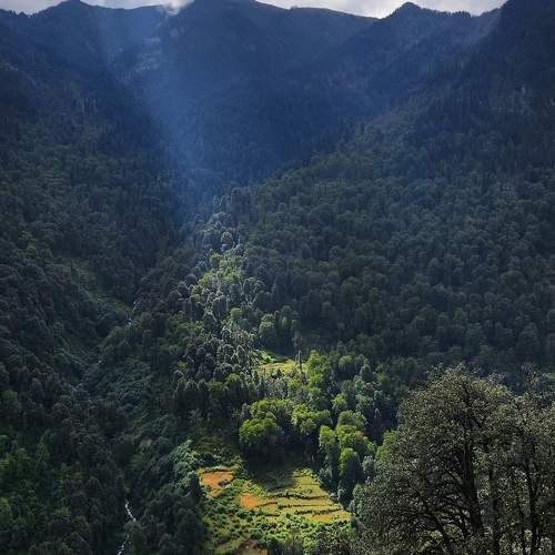 Photo #10632953