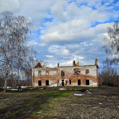 Photo #10633031