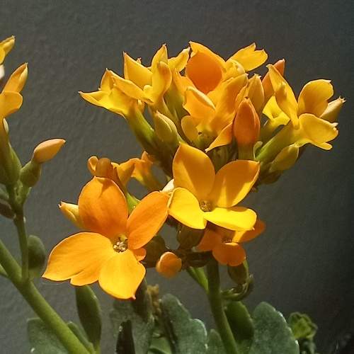 Photo #10633417