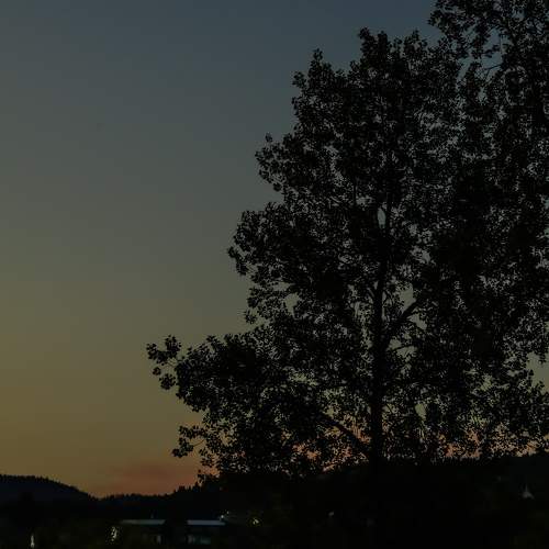 Photo #10633441